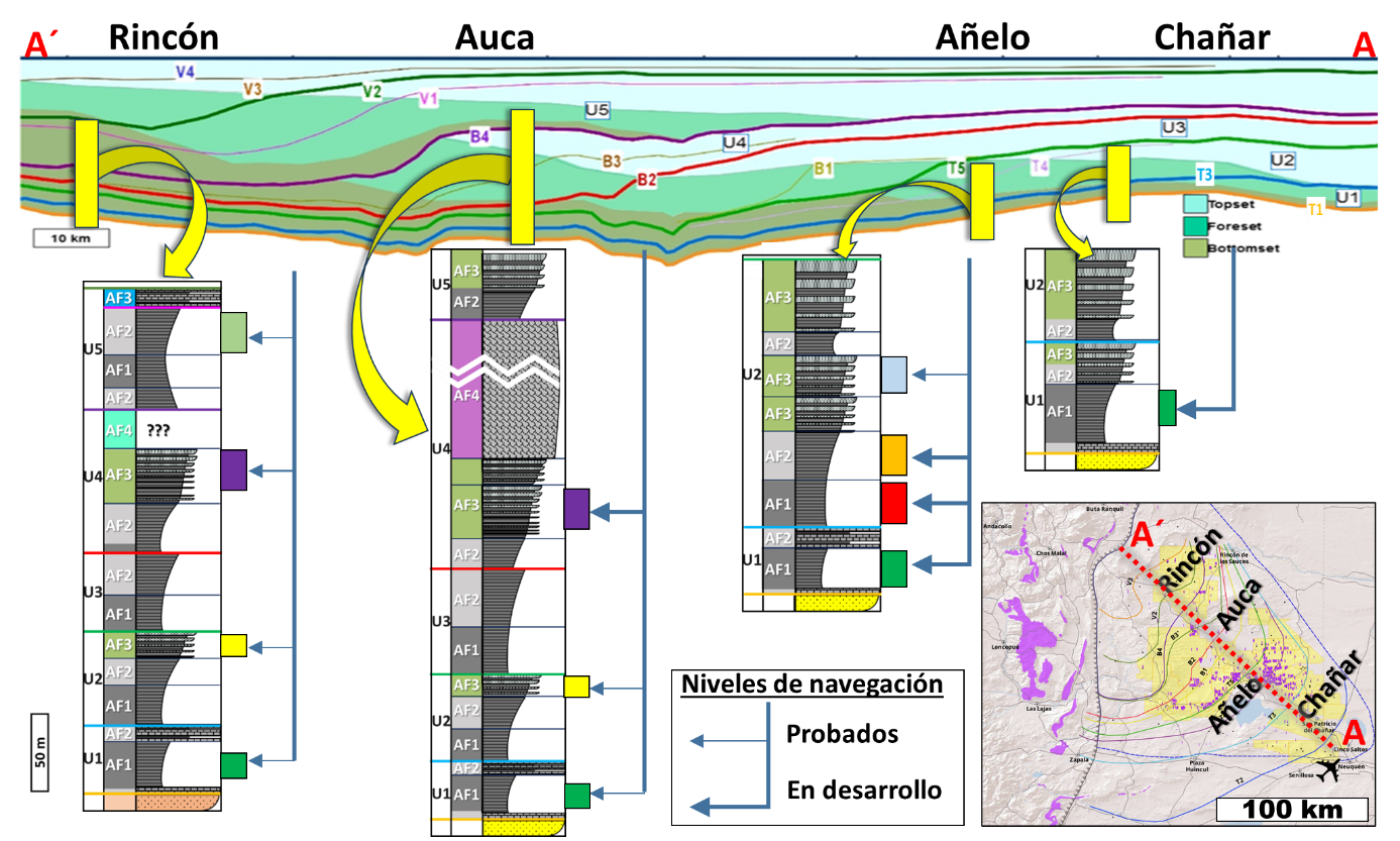 Perfil estratigráfico esquemático de Vaca Muerta — correlación de facies y unidades litológicas observadas en el campo