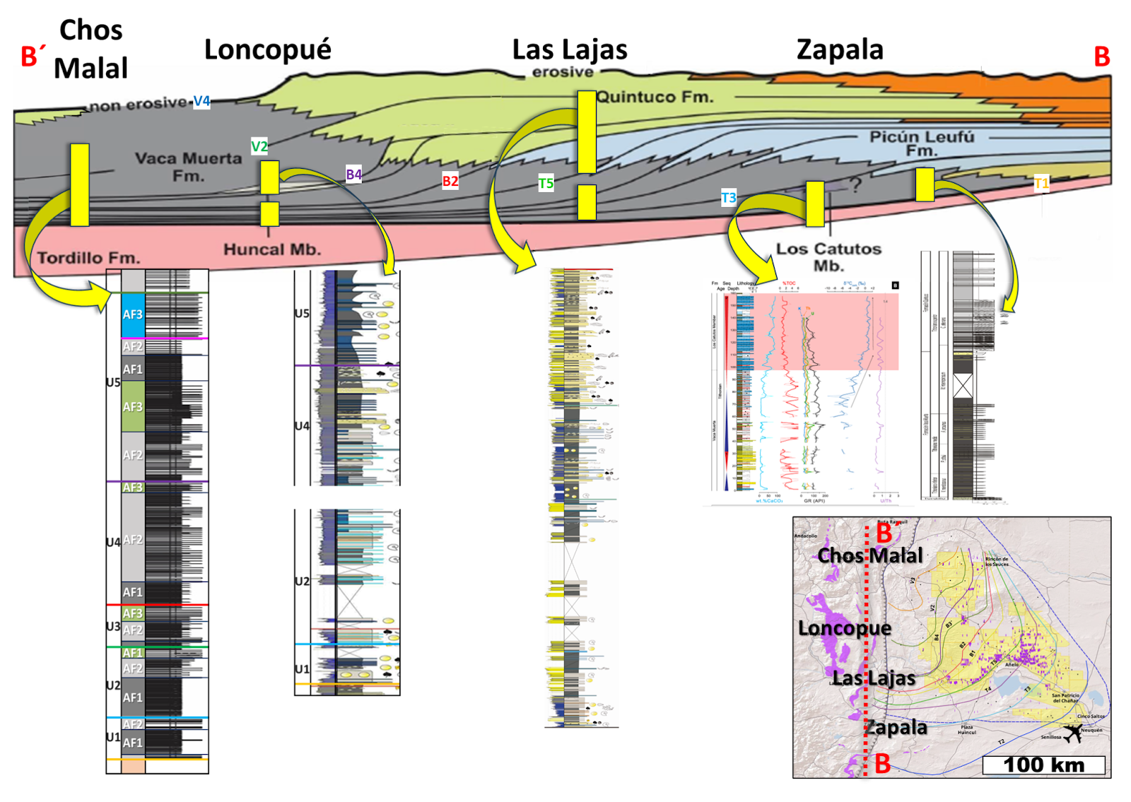 Perfil estratigráfico esquemático de Vaca Muerta — correlación de facies y unidades litológicas observadas en el campo