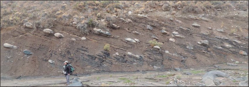 Concreciones carbonáticas en Vaca Muerta — niveles parcialmente cementados que controlan la nucleación y propagación de fracturas hidráulicas