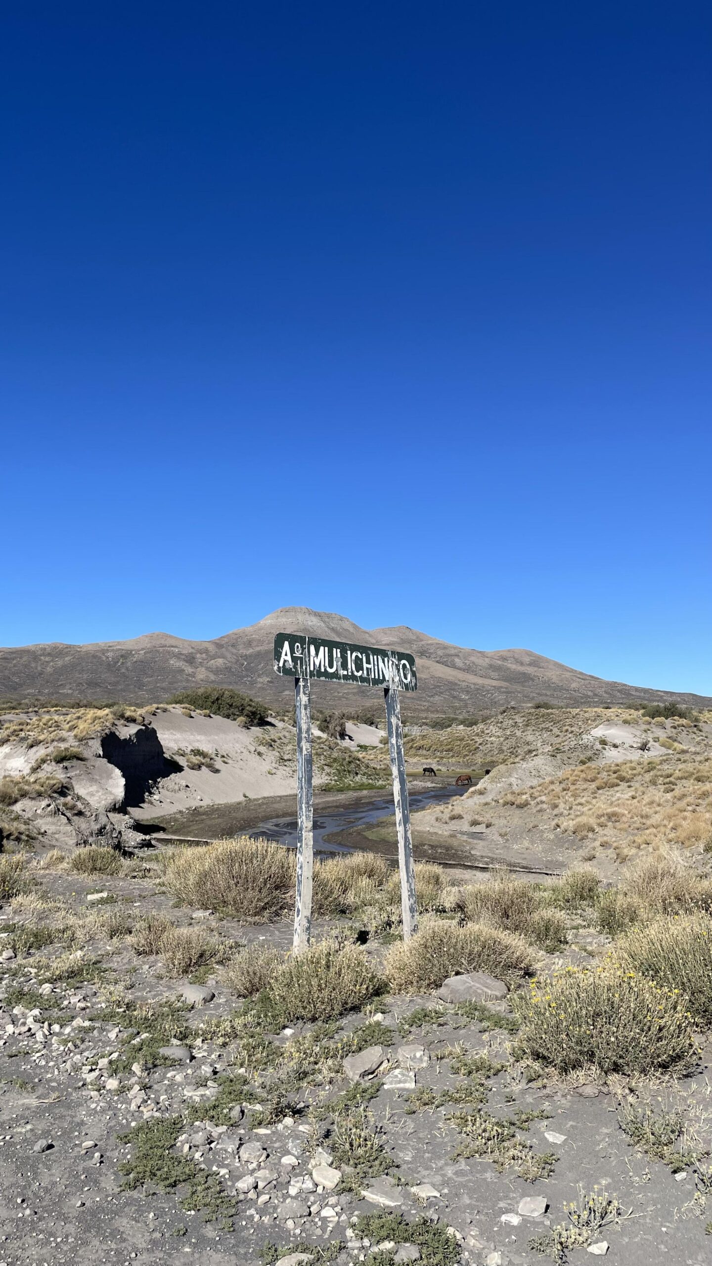 Pliegue anticlinal expuesto en barranca — análisis de geometría estructural