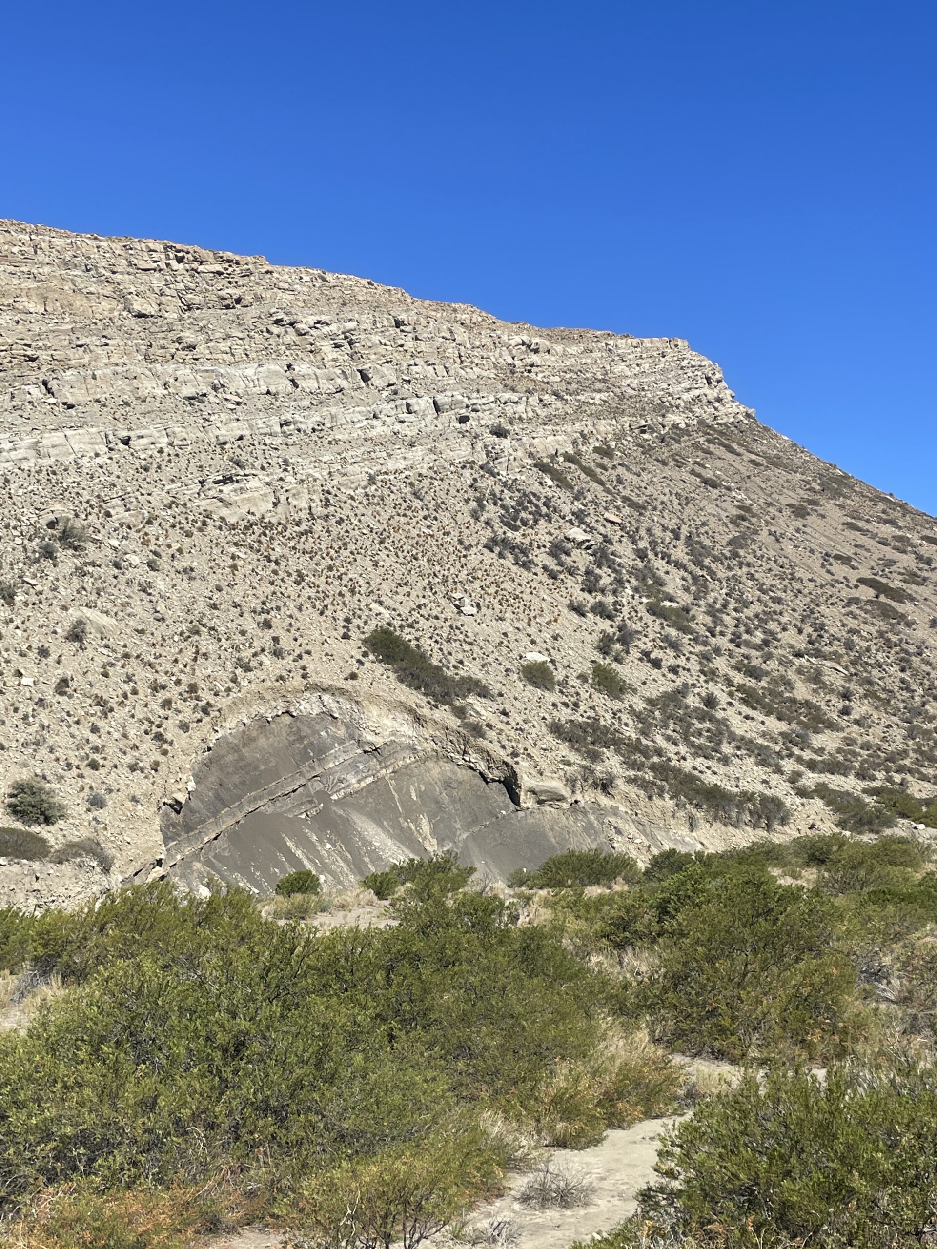 Detalle de venas de calcita en shale — evidencia de fracturamiento hidráulico natural