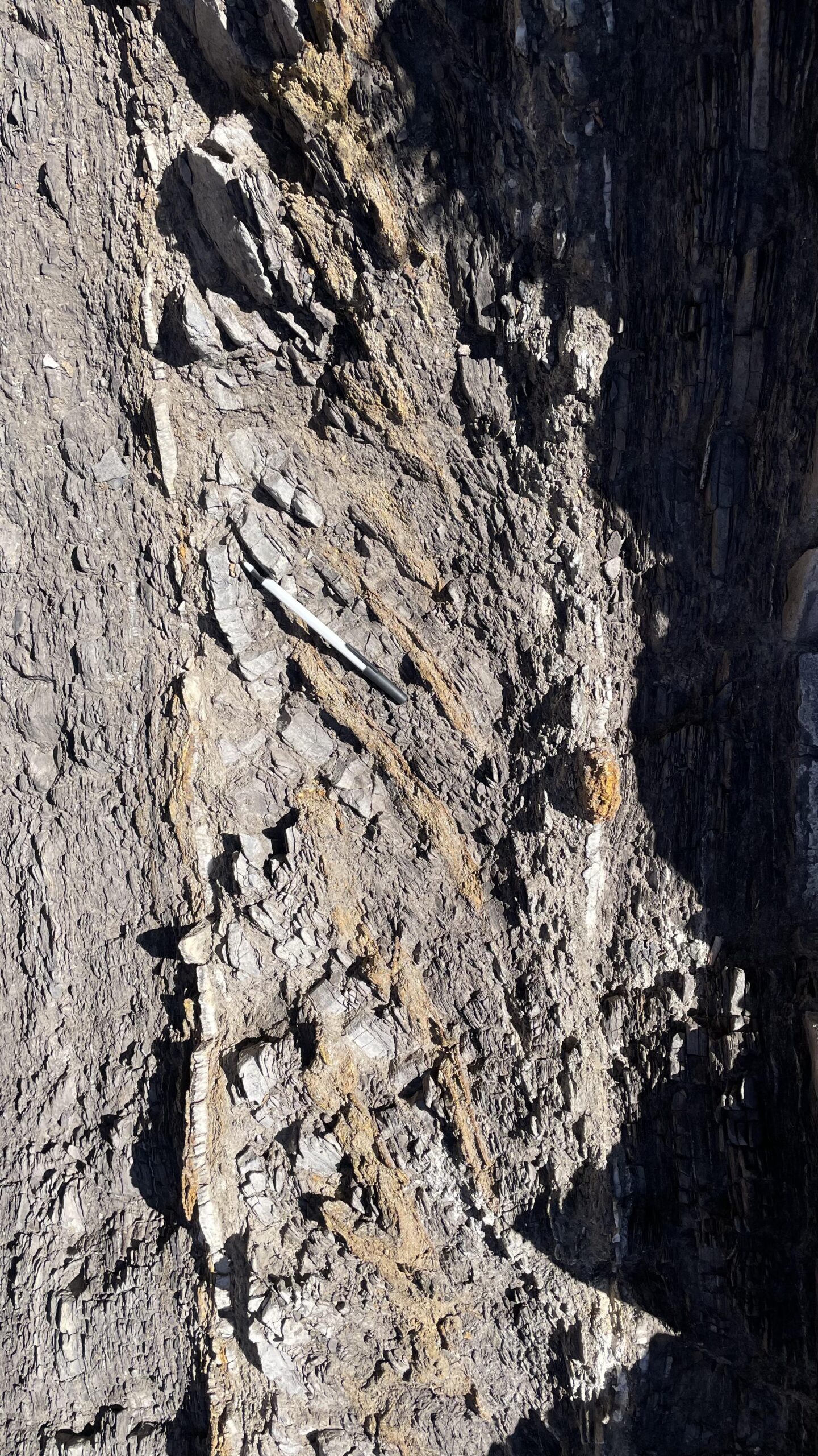 Panorama del valle neuquino con afloramientos mesozoicos en primer plano
