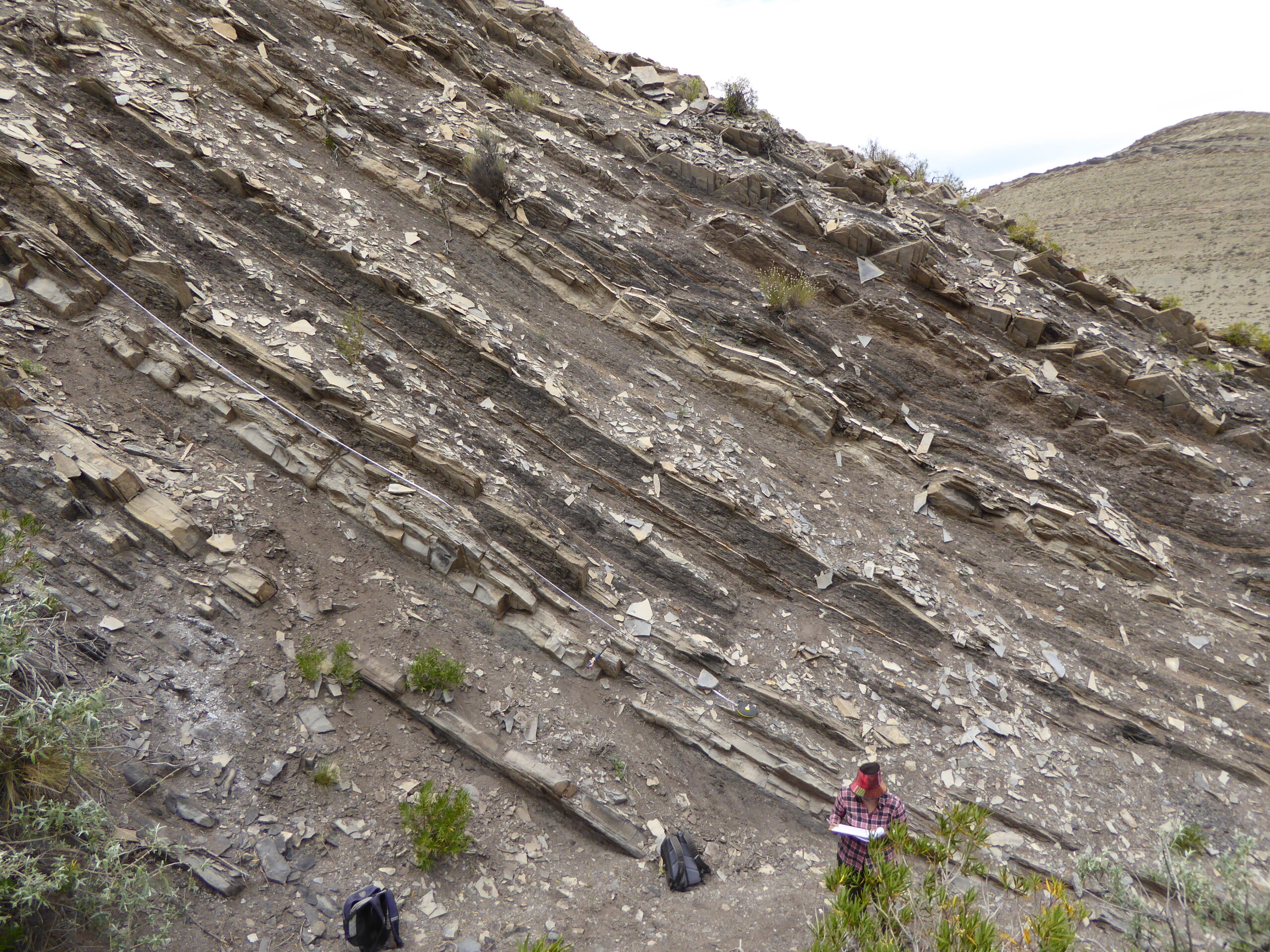 Afloramiento de pliegues en rocas mesozoicas de la Cuenca Neuquina