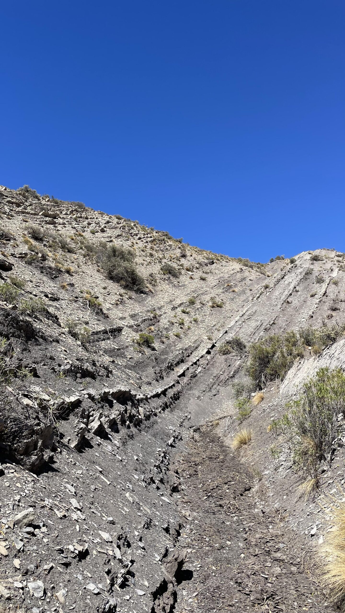 Análisis de log de imagen de pozo para caracterizar fracturas naturales