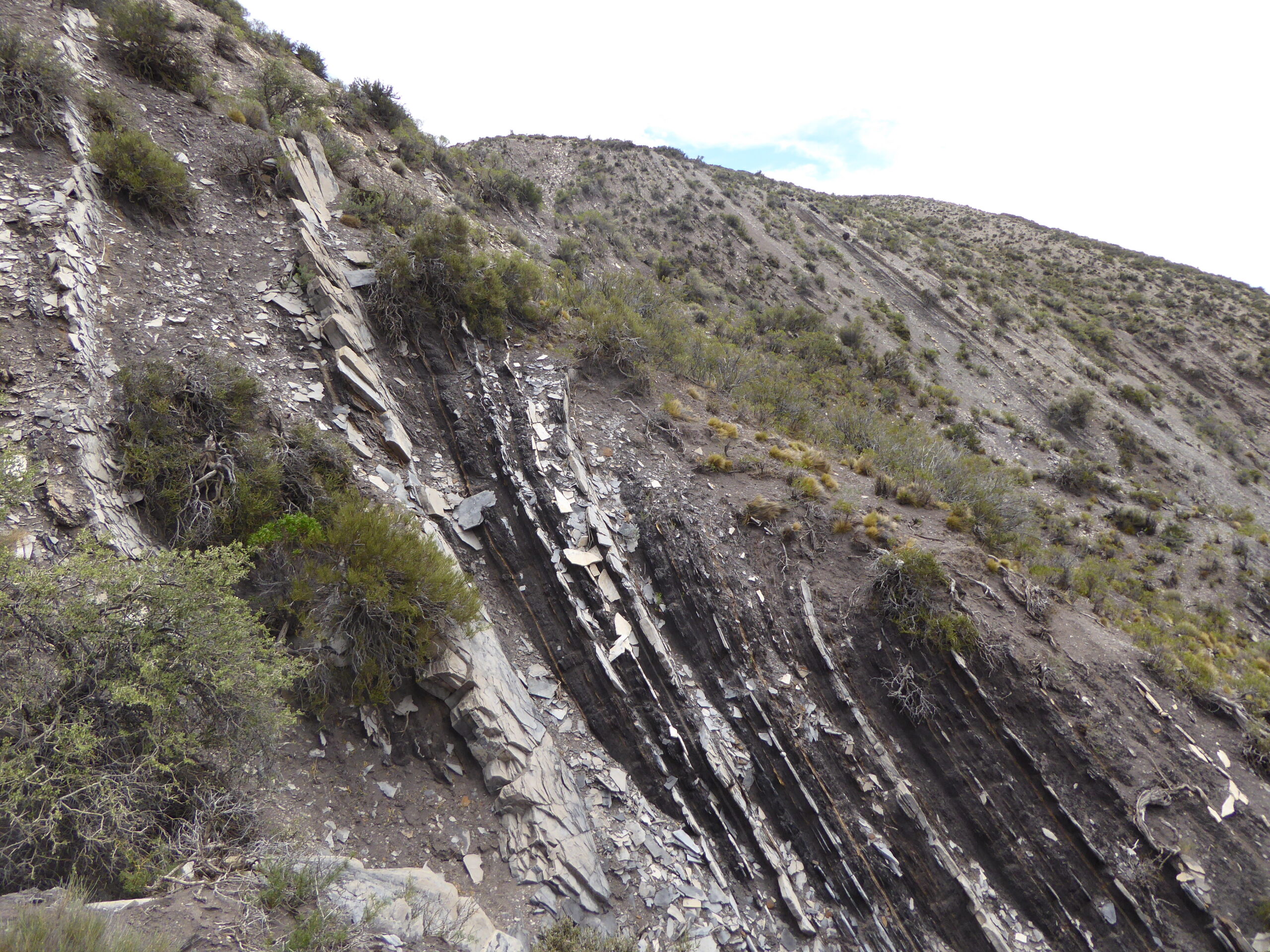 Grupo completo del curso de Geo Estructural y Mecánica de Rocas — Synergies 2025