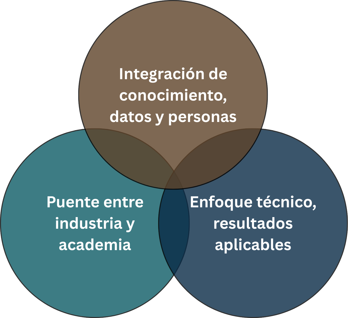 Equipo Synergies — especialistas en geociencias, ingeniería y desempeño humano para el sector energético